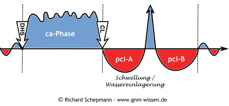 Hamerscher Kompaß - pcl-A-Phase